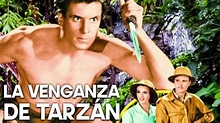 La venganza de Tarzán | Película clásica en español | Cine de aventuras ...