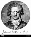 Portrait of Johann Wolfgang von Goethe, 1749 - 1832, a German poet ...