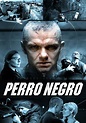 Perro negro - Movies on Google Play