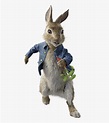 Peter Rabbit Png - Peter Rabbit Movie Character, Transparent Png - kindpng