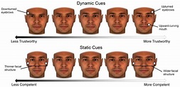 Changing faces: We can look more trustworthy, | EurekAlert!