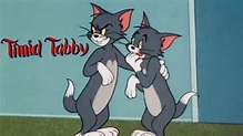 Timid Tabby 1957 Tom and Jerry Cartoon Short Film - YouTube