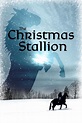 The Winter Stallion (1992) | The Poster Database (TPDb)
