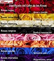 ⊛ SIGNIFICADO DEL COLOR DE LAS ROSAS【 Todos