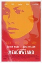 Meadowland (2015) Pictures, Trailer, Reviews, News, DVD and Soundtrack