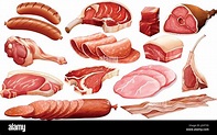 Verschiedene Arten von Fleisch-Produkte-Abbildung Stock-Vektorgrafik ...