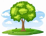 Árbol aislado en estilo de dibujos animados con palabra de verano ...