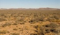Deserts and xeric shrublands - Wikipedia