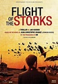 Flight of the Storks (TV Mini Series 2012– ) - IMDb