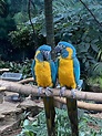 BROOKFIELD ZOO - Updated April 2024 - 2700 Photos & 896 Reviews - 3300 ...