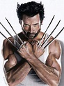 Drawing Wolverine | Wolverine comic, Wolverine art, Wolverine marvel
