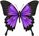 purple butterfly png clipart 20 free Cliparts | Download images on ...