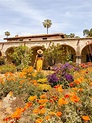 10 Charming Things to Do in San Juan Capistrano, CA (the OC's Historic ...