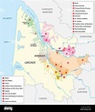 Mapa de la región vinícola de Burdeos francés Imagen Vector de stock ...