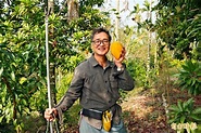 《嘉縣》竹崎農育種改良 大顆「仙桃」口感佳 - 地方 - 自由時報電子報