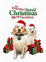 The Dog Who Saved Christmas Vacation (TV Movie 2010) - IMDb