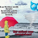 Pin von Melli auf Regen/Sturm | Regen sprüche, Guten morgen gruss ...