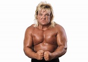 Greg Valentine: Profile, Career Stats, Face/Heel Turns, Titles Won ...