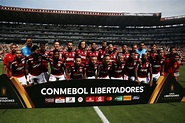 Baixe o pôster do campeão da Copa Libertadores - 29/10/2022 - Esporte ...