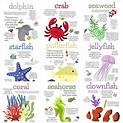 sea animals and their names are shown in this poster, which is also ...