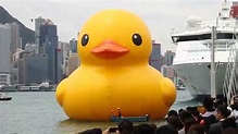 Rubber Duck Project (Hong Kong Tour) 橡皮鴨游世界‧香港站 - YouTube