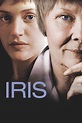 La película Iris (2001) - el Final de