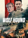 Prime Video: Wolf Hound
