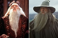 Ian McKellen Reveals Why He Turned Down Playing Dumbledore After ...
