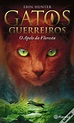 Gatos Guerreiros N.º 1 - Livro - WOOK