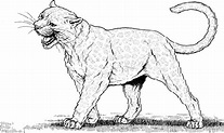 Black Panther Animal Coloring Pages Coloring Pages