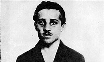 The Life of Gavrilo Princip - The Shot That Started World War One