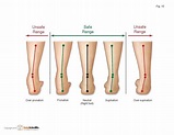 Pronation: Understanding How We Roll — Phila Massages