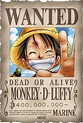 bol.com | One Piece Poster The Wanted Luffy