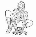 Spiderman para colorear 🥇 ¡DIBUJOS para imprimir y pintar!