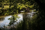 Am Ufer des Flusses Foto & Bild | landschaft, lebensräume, bach, fluss & see Bilder auf ...