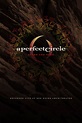 A Perfect Circle Live: Featuring Stone and Echo | A Perfect Circle Wiki ...