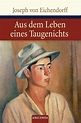 Joseph von Eichendorff: Aus dem Leben eines Taugenichts bei ebook.de ...