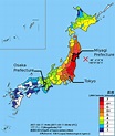 Seismic intensity observations resulting from the Tohoku earthquake ...