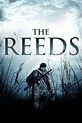 ‎The Reeds (2009) directed by Nick Cohen • Reviews, film + cast ...