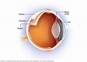 Úvea del ojo - Mayo Clinic