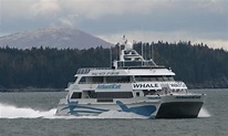 Bar Harbor Whale Watching, Maine Whale Tour Companies - AllTrips