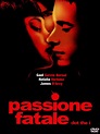 Passione Fatale - Dot The I [Italia] [DVD]: Amazon.es: Gael Garcia ...