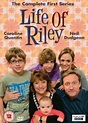 Life Of Riley (TV Series) (2009) - FilmAffinity