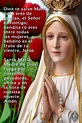 ® Oraciones y Devociones - Blog Católico ®: DIOS TE SALVE MARÍA