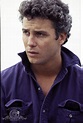 William Petersen