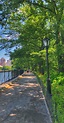 Central Park | New york life, Nature aesthetic, City aesthetic