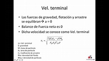 OTM119 Velocidad Terminal - YouTube