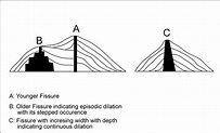 Figure showing three types of fissures. Note that black areas are the ...