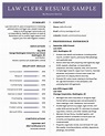 Law Clerk Resume - Sample & Template (Free Download)