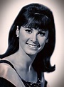Stephanie Powers | Stephanie powers, Classic actresses, Hollywood actresses